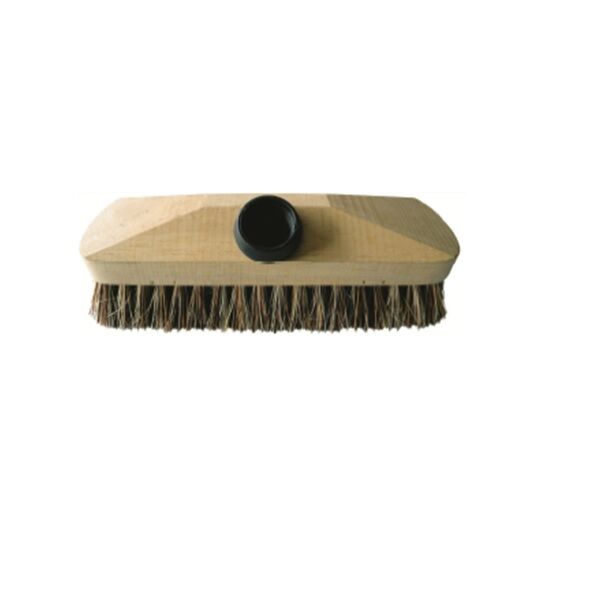 brosse chiendent 22 cm