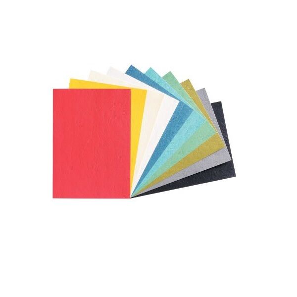 Paquet de 100 couvertures grain cuir A4 250 gr Coloris assortis - Image 3