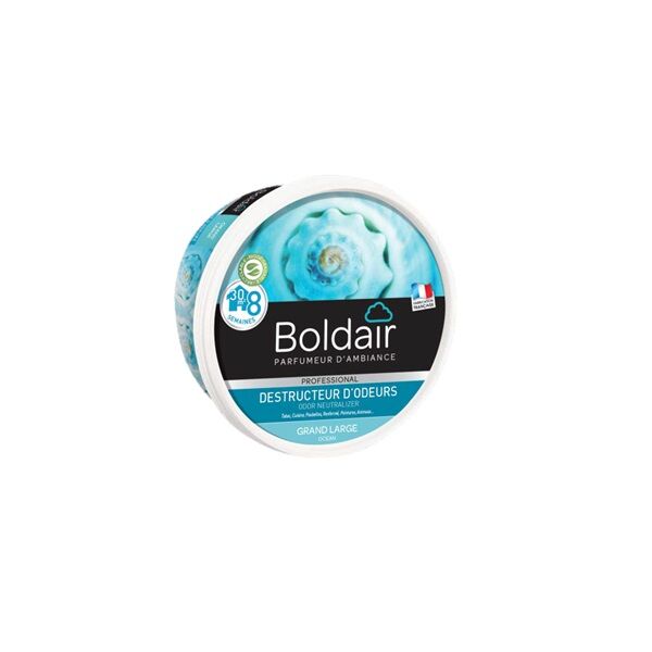 destructeur d'odeur grand large boldair 300 gr