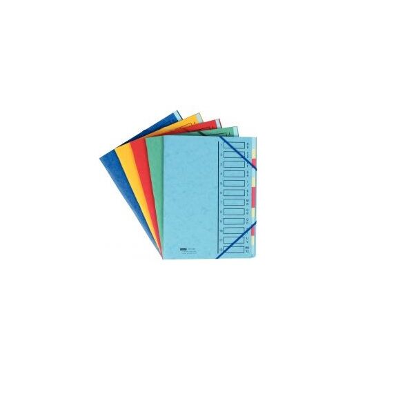 trieur carte extendos 12 compartiments