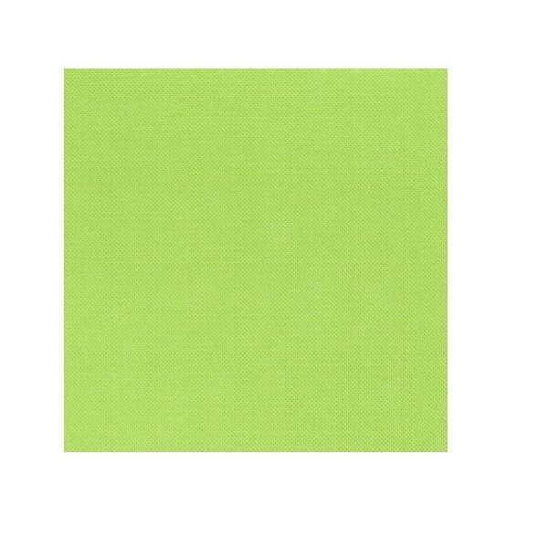 serviette papier jetable celi ouate pistache 38 38 cm