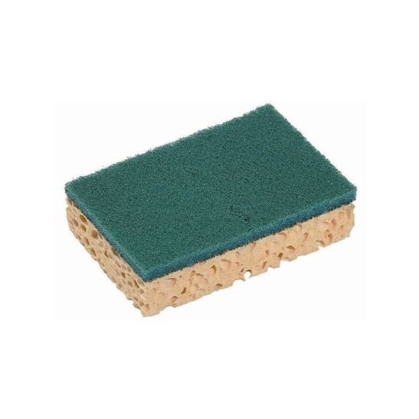 spontex eponge grattante basic