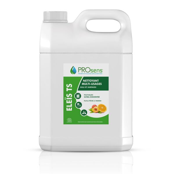 prosens eleis ts nettoyant multi-usages bidon 5 litres