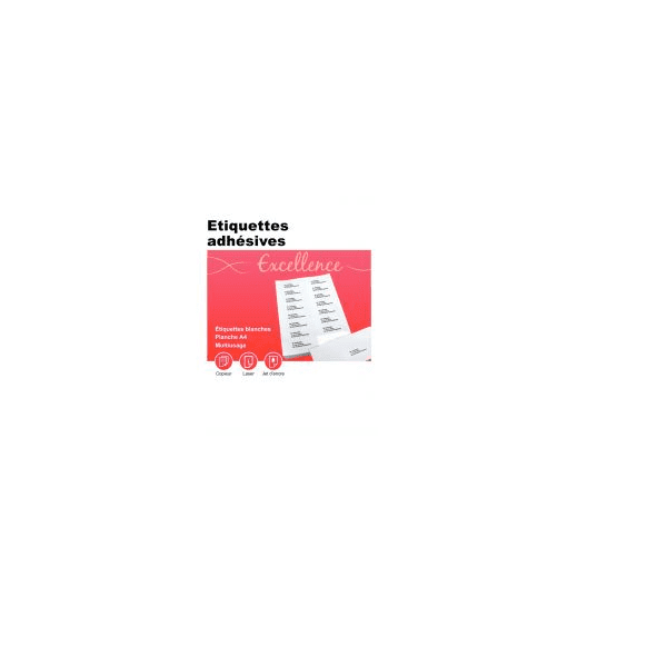 Boîte de 100 planches d'étiquettes adresse multi-usages format 99.1 x 38.1 mm